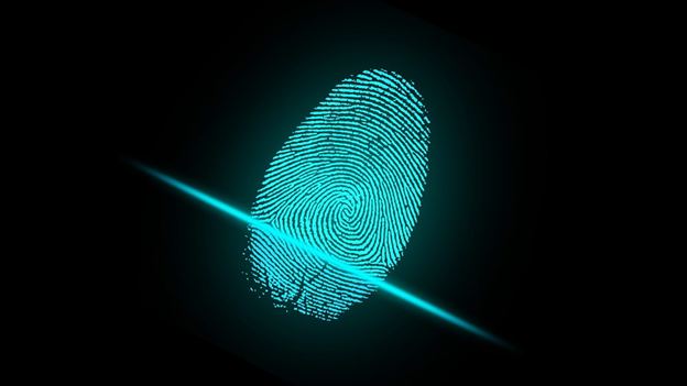 fingerprint image