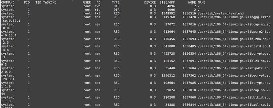 file descriptors