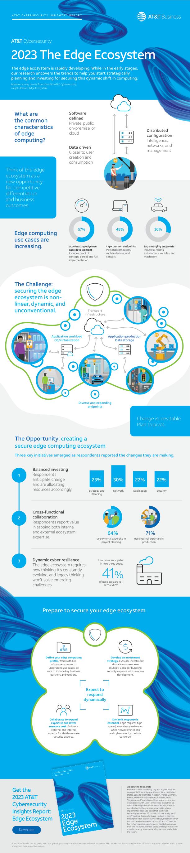 Cybersecurity Infographic Insights Report