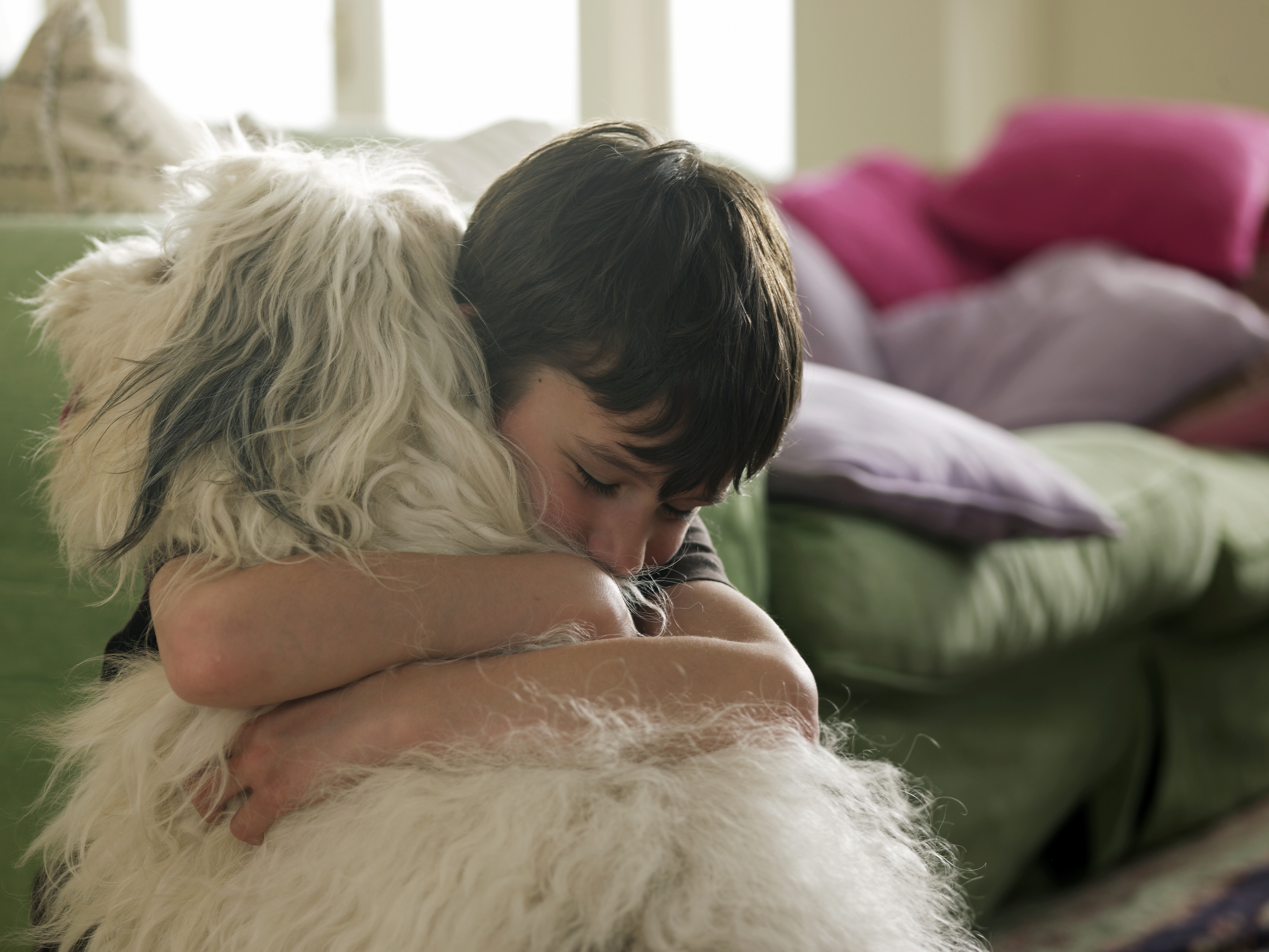 dog and boy