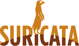 Suricata is a preferred Network IDS tool for analyzing network traffic